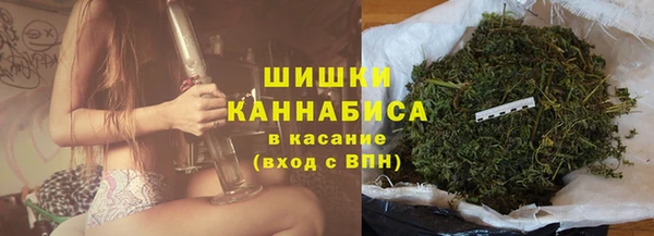 мдпв Бронницы