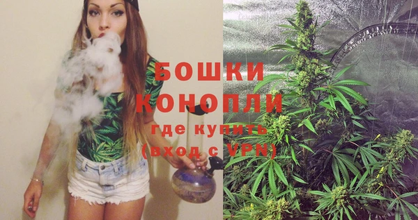 мдпв Бронницы