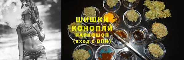 мдпв Бронницы