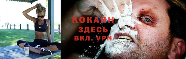 бошки Бородино