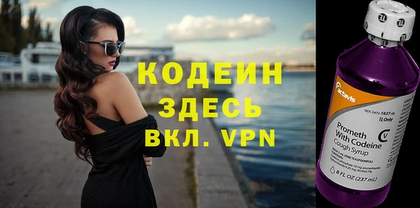бошки Бородино