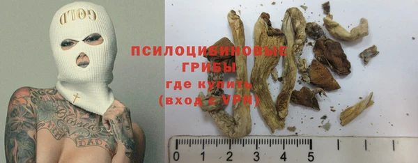 мдпв Бронницы