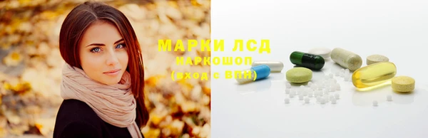 бошки Бородино