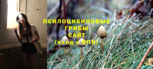 бошки Бородино