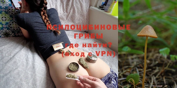 бошки Бородино