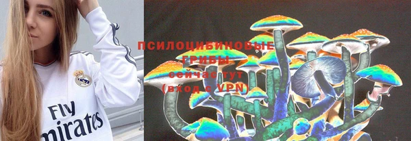 бошки Бородино