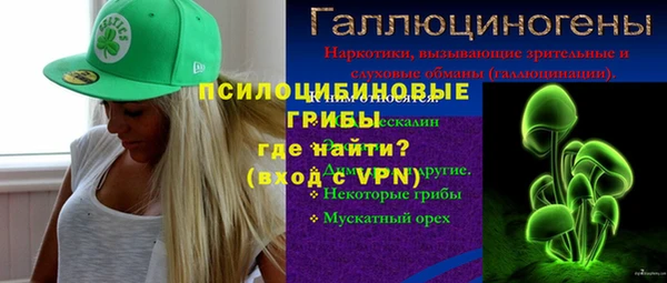 мдпв Бронницы