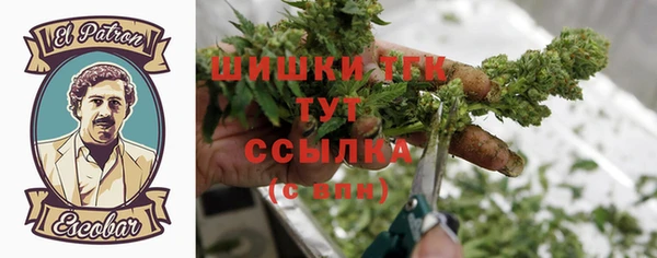 бошки Бородино