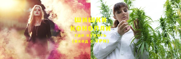 бошки Бородино
